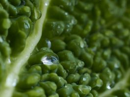 Оазис сантехники «Remer»: обустройте свой дом с комфортом!