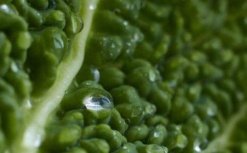 Бизнес-сопровождение в Дубае: взгляд в будущее