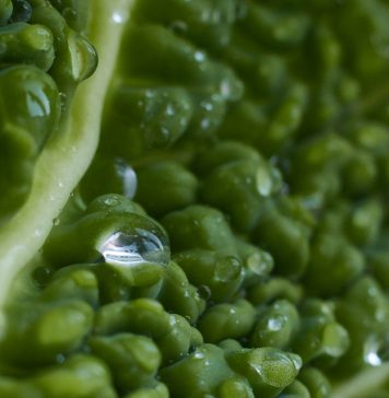 Перевозим будущее: искусство профессиональных грузоперевозок Грузоперевозки Фаниполь