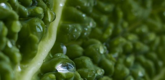 СтройЮрист: избавьте себя от хлопот по оформлению пожарной лицензии МЧС Получение лицензии МЧС