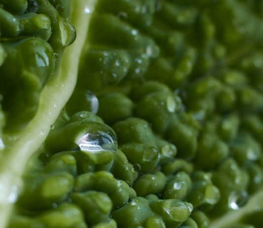 Курсы Python разработчик для прокрастинаторов