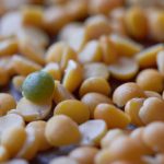 Курсы Python разработчик для прокрастинаторов