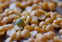 Jacob Delafon: Роскошь и функциональность в вашей ванной комнате