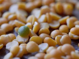 Оазис сантехники «Remer»: обустройте свой дом с комфортом!