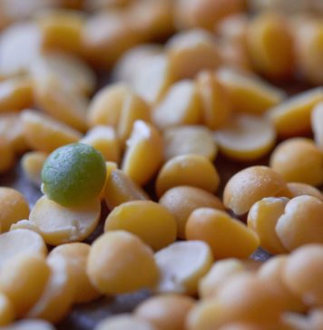 Сервизория: маркетинговая система для бизнеса Сервизория