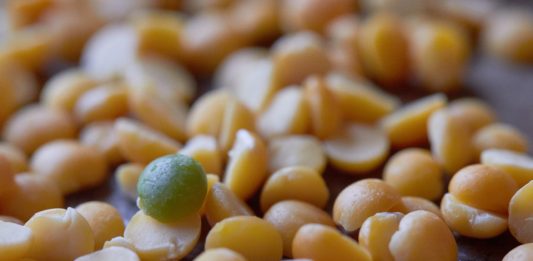 СтройЮрист: избавьте себя от хлопот по оформлению пожарной лицензии МЧС Получение лицензии МЧС