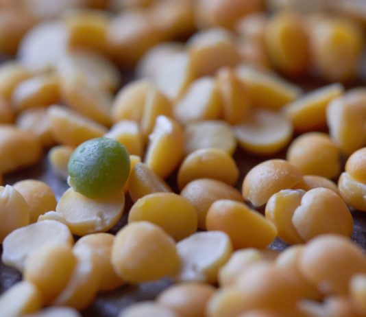 Курсы Python разработчик для прокрастинаторов