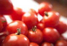 Росреестр ответил на вопрос о строительстве дома в лесу