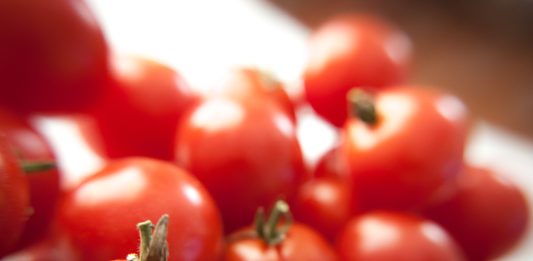 СтройЮрист: избавьте себя от хлопот по оформлению пожарной лицензии МЧС Получение лицензии МЧС