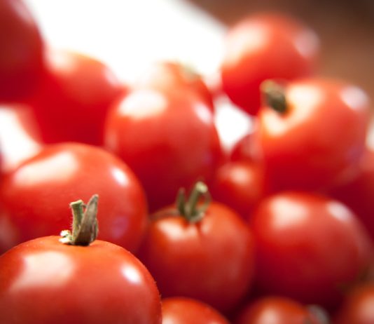 Курсы Python разработчик для прокрастинаторов