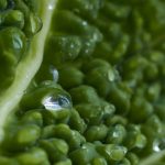 Курсы Python разработчик для прокрастинаторов